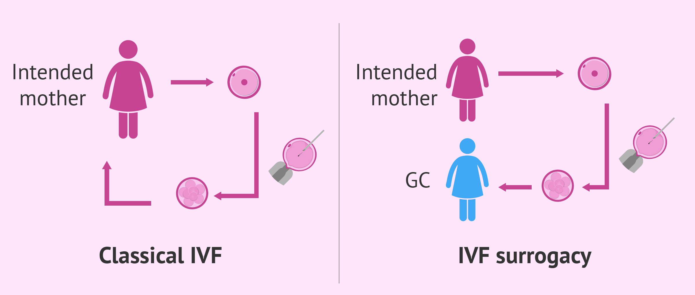 The Role of a Surrogate Mother: Understanding the Process and Implications