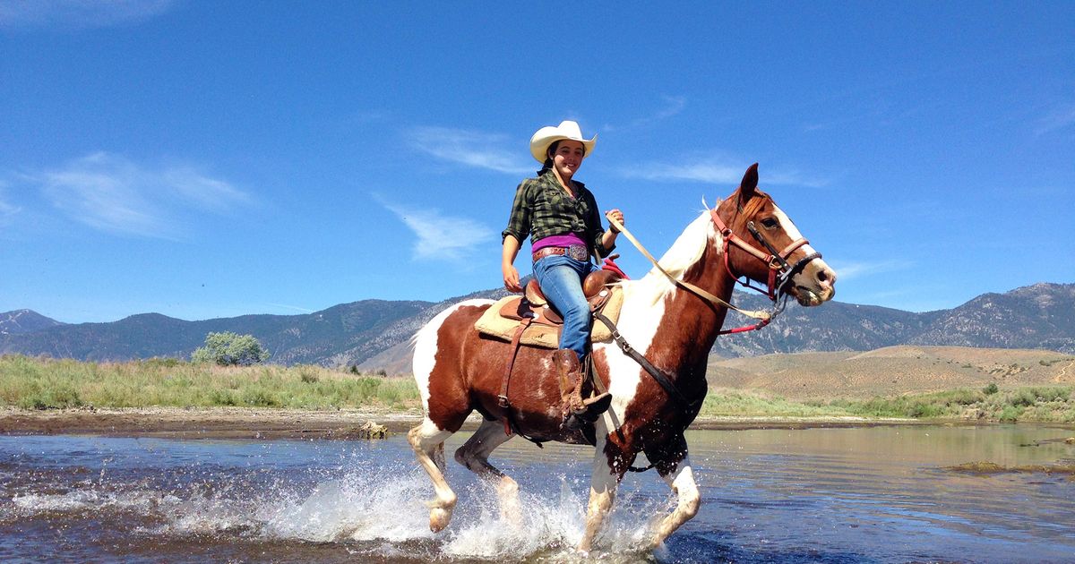 Discover the Benefits and Enjoyment of Horseback Riding