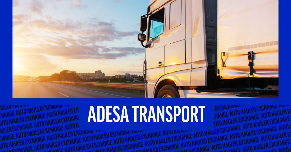 7 Questions to Ask Before Choosing the Best Company for Shipping a Car