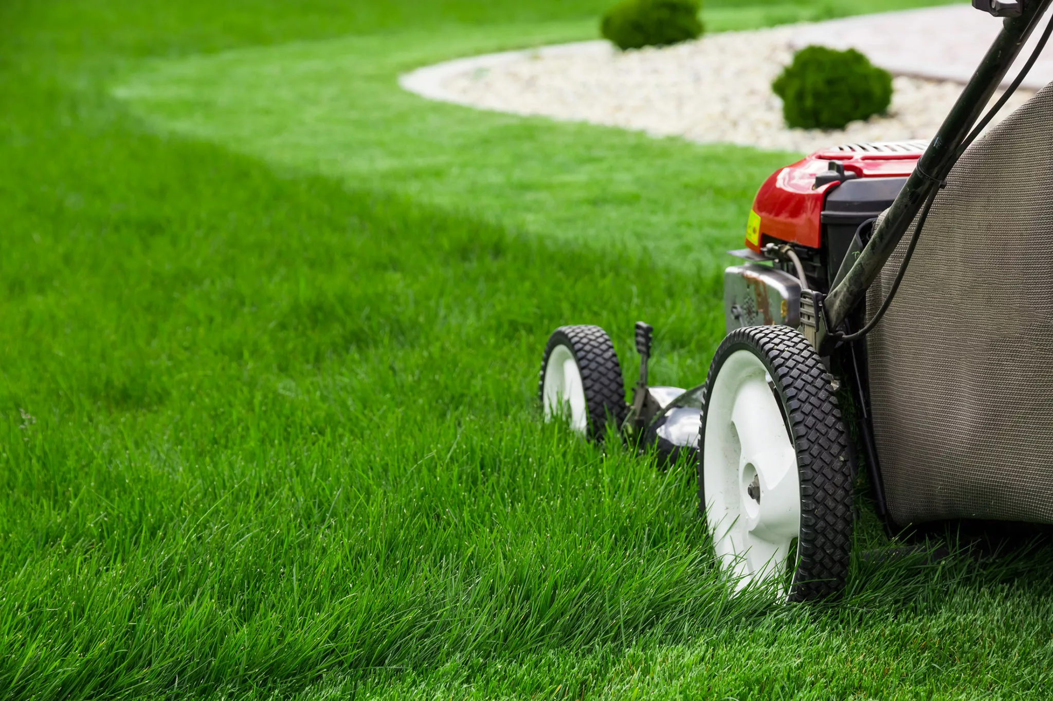 Practical Ways to Maintain a Healthy and Attractive Yard